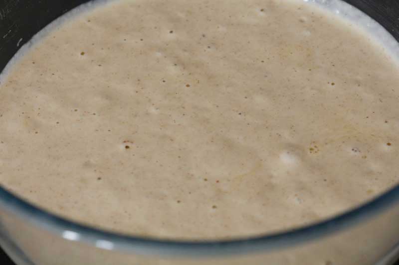 Sourdough poffertjes batter 40% buckwheat 60% wheat flour